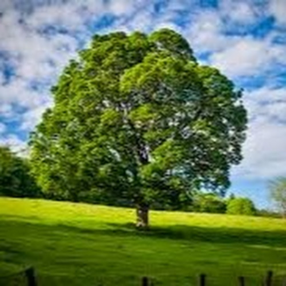 Meet your Posher, Marcus